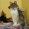 Отзыв от Нелли Нестерова